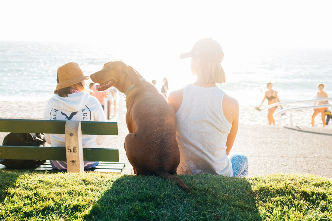 海沿いのベンチに座り、愛犬と一緒に波を眺める女性。ペットと楽しむオーストラリアのライフスタイルを象徴。