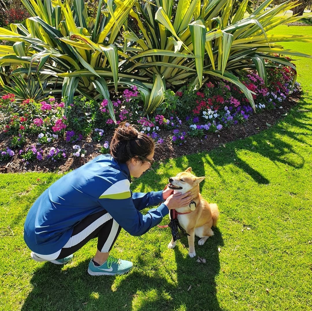 カラフルな花が咲く公園で、柴犬と遊ぶ女性。オーストラリアのペットフレンドリーな環境を表現。